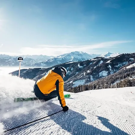 Alpine Living By We Rent, Summercard Included Apartment Zell am See