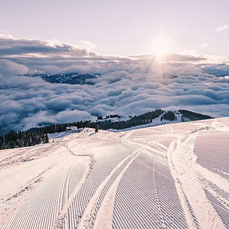 Alpine Living By We Rent, Summercard Included * Zell am See