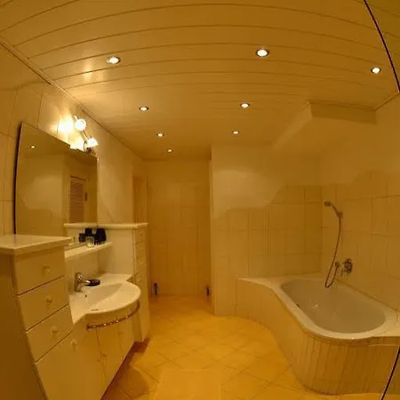 Alpine Living By We Rent, Summercard Included Appartement Zell am See